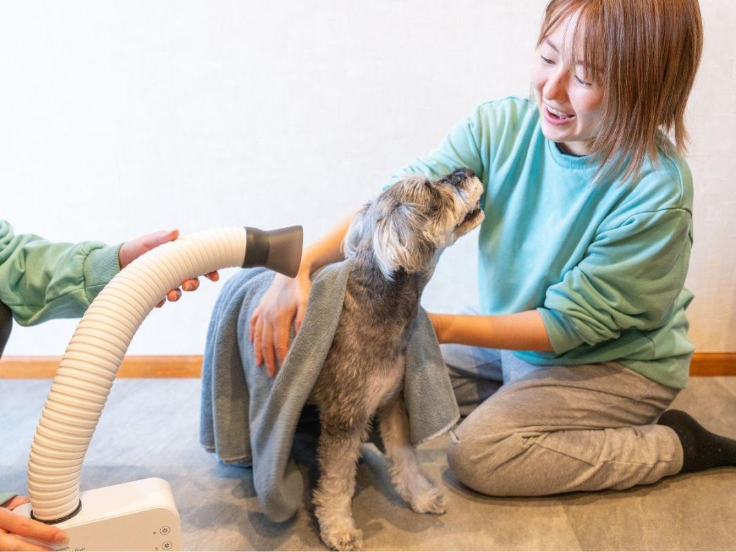 ペット用ドライヤーなどアメニティ完備